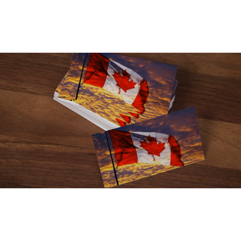 Business Card 02 Animation Showcase business-card-02-animation-showcase